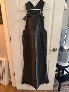 Aerie Gray Cotton Blend Overalls